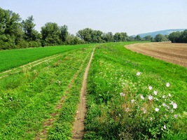 míříme do luk u Váhu