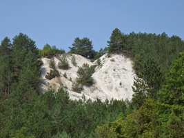 nejspíš bývalý vápencový či křemencový lom