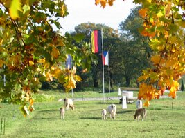 k Trojmezí - Česko, Polsko, Německo