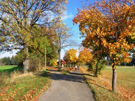 Barvy října ála Tizianova paleta
