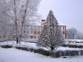 Stromy jsou ještě skoro vánoční