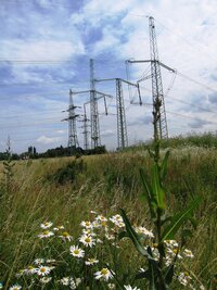 Vida i dráty mohou být malebné!