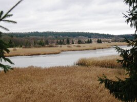 Tak co, je to šumavská kvilda nebo bobří řeka v Yukonu?