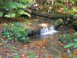 vlnky v potoce se zatřpytily,