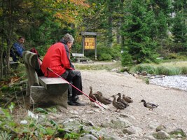 jen místní poustevníci tu krmí ptactvo