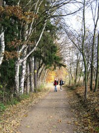 listopadovými lesy do Dobřívi