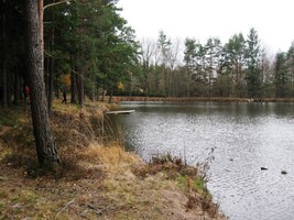 Pak už to bylo jen kousek lesem