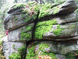 Od rozhledny jsme sestupovali