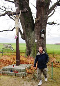 která končí tímto památným stromem