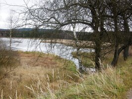 neb musíme jít stále vpřed