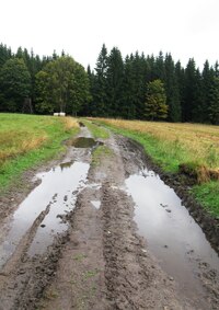 Cesty se tu příliš neliší od potoků