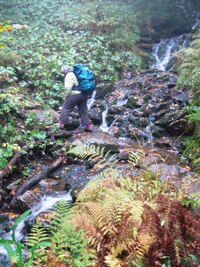 Chodí tudy i pašeráci (Kontrabandtrâgern)