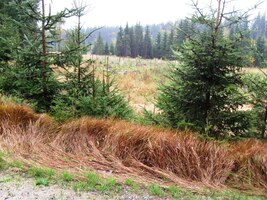 ale pak už se cesta od ní odděluje do vnitrozemí