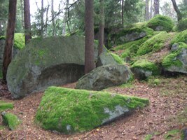 Nicméně jsme vyrazili na procházku