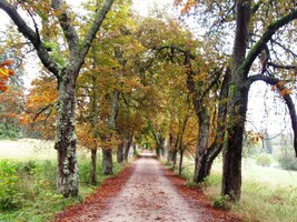 Zámeckou alejí se z něj přemisťujeme