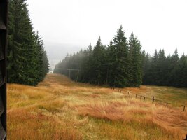 To je její mokrou rezavou travou zarostlý vrchol