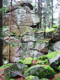 a klouzali po kamenech, listí a mechu