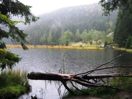 Na břehu Kleiner Arbersee (Malé javorové moře)