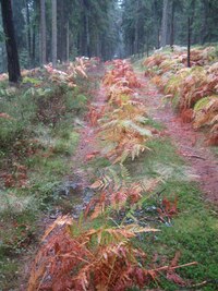 Totálně promáčeni sestupujeme zpátky dolů,