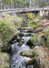 u divokého potůčku (Urválek)