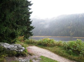 Vzhůru po blátivé cestě (Scheissereiweg)