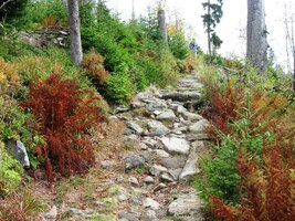 Cesta dolů vede někdy nahoru