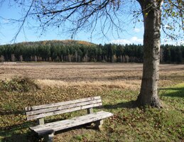 Pak už jsme vyšli vstříc lesům