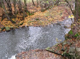 a předvádí se nám v plné kráse