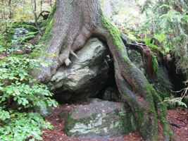 a mají tu i důmyslné skrýše (Spelunken)