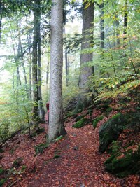 skal a stepi divočinou (Partyzánská),