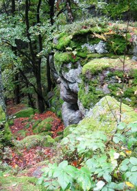 průrvami ve skalním městě