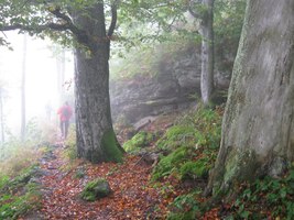 močálem černým kolem bílých skal (V + W),