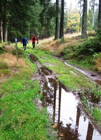 Cesty jsou stále průzračnější