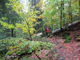 Jdeme dál, blouznivci našich hor (A.Stašek),