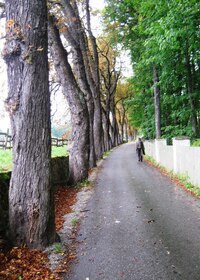 Toto je alej kolem zámeckého parku