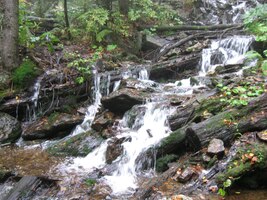 a cesta vede strmě podél potoka