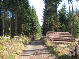 a brdskému vojenskému újezdu