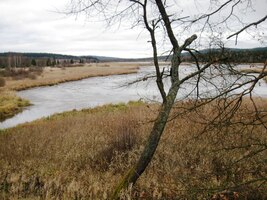 ale snesly by i název Malá Kanada