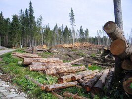 Jsme zděšeni následky loňské katastrofy