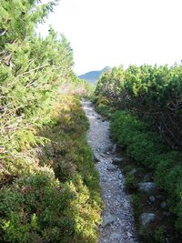 dolinou Bielé vody až k silnici na Ždiar