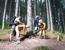 produkce a těžby dřeva