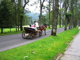 Pak jsme popošli nahoru do Kužnice
