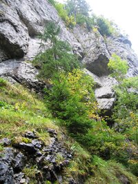 pod strmými skalami,