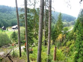 Však jsme tu také v lesním skanzenu