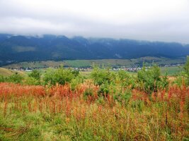 Nevyjasnilo se ale ani po návratu do Ždiaru