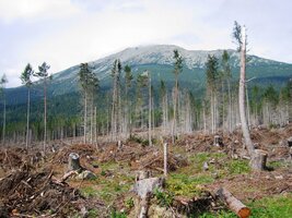 a ničivými polomy v okolí