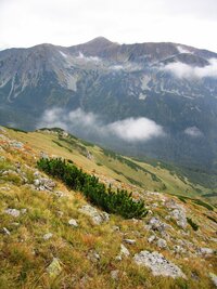 stejně jako pod masivem Svinice