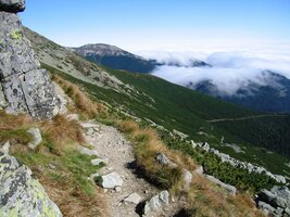 v paprscích dopoledního slunce