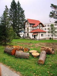 a ani druhý den v Tatranské Lomnici