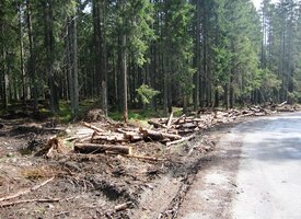a pak po silnici dolů do Starého Smokovce